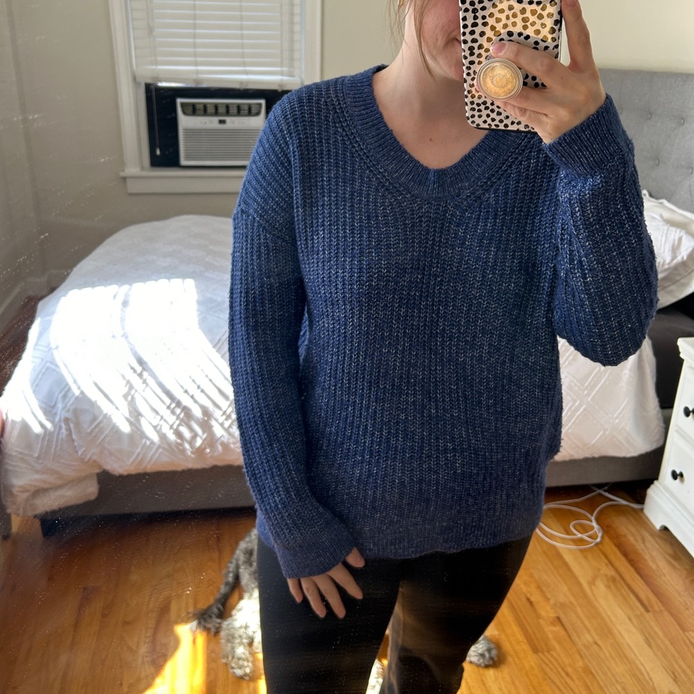 GAP Blue vneck sweater